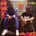 Rap : 100 albums essentiels