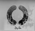 Musique des années 2000 : 100 albums essentiels