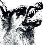 Musique des années 2010 : 100 albums essentiels