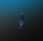 Musique des années 2010 : 100 albums essentiels