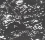 Musique des années 2010 : 100 albums essentiels