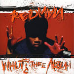 Rap : 100 albums essentiels