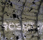 Rosetta The Galilean Satellites