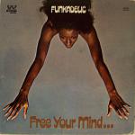 Funk : 100 albums essentiels 