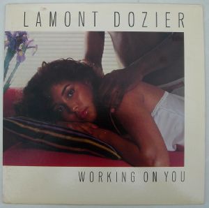 LAMONT DOZIER - Working on you - LP