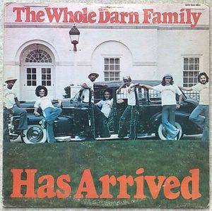 THE WHOLE DARN FAMILY - Has arrived - LP