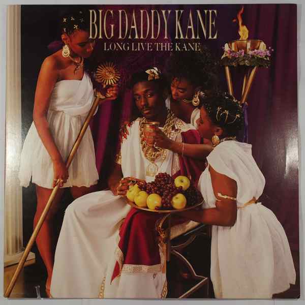 BIG DADDY KANE - Long Live The Kane - 33T