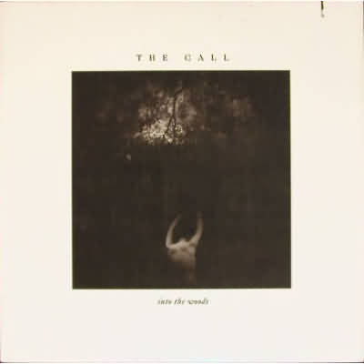 Call Into the woods (Vinyl Records, LP, CD) on CDandLP